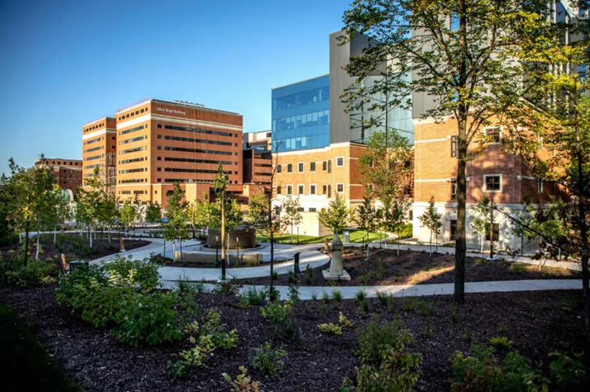 Mayoclinic Hospital